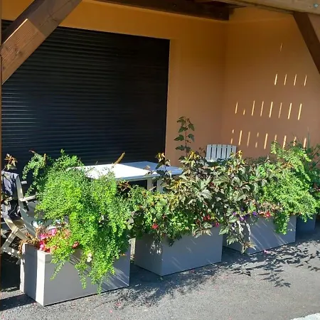 Carline * Morillon
